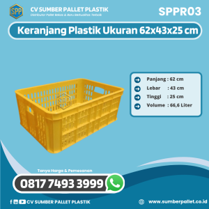 Keranjang Plastik Bekas/Baru Ukuran 62x43 cm - SPPR03